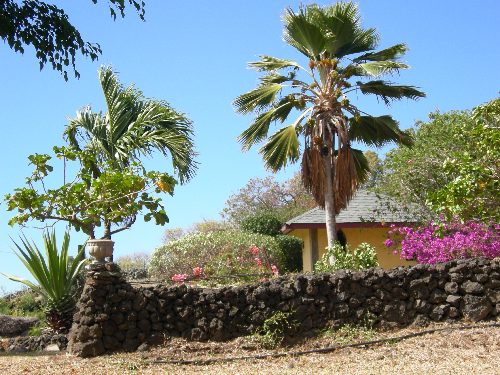 Day 1 view  Piero Resta, Villa Tamarinda, Kaupo Maui