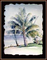 #62, Lahaina Palm, w/c