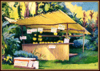 #70, Nahiku Fruit Stand in the Sun, 15x22, Acrylic