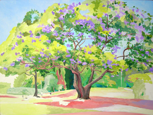 Seabury Hall Jacaranda