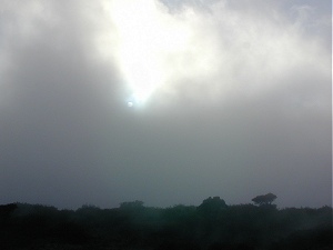 Here is the afternoon sun and fog, it rolls in and back out all day.