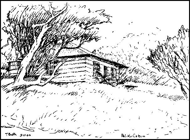Tom Booth drawing of Paliku Cabin.