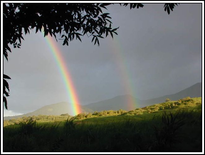 rainbow painting