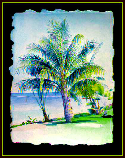 Lahaina Palms water color on Twin Rocker